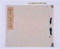 藏品(乾隆四十九年（1784）岸裡社、朴仔籬社通土潘明慈首報東勢角、水底【寮】開墾等相關文書)的圖片